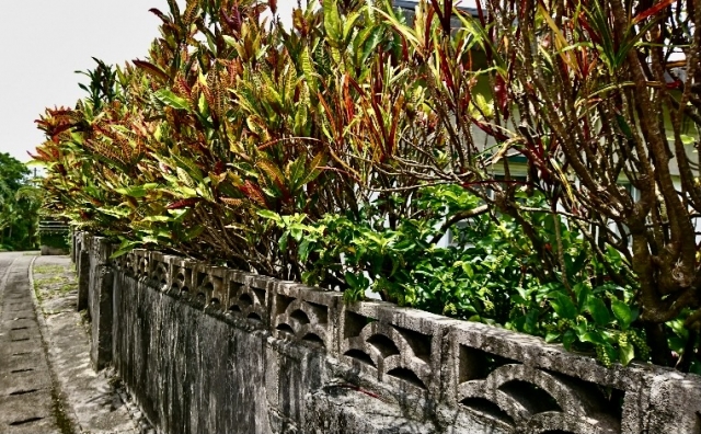 生垣と低い花ブロックの塀